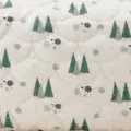 Winter Woods