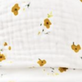 Daisy Bloom